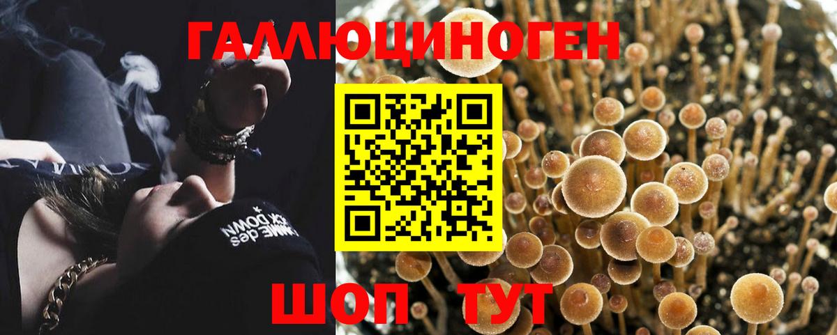 Псилоцибиновые грибы мицелий  Вход с VPN  Йошкар-Ола 